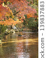 Kamigamo Shrine 139837883