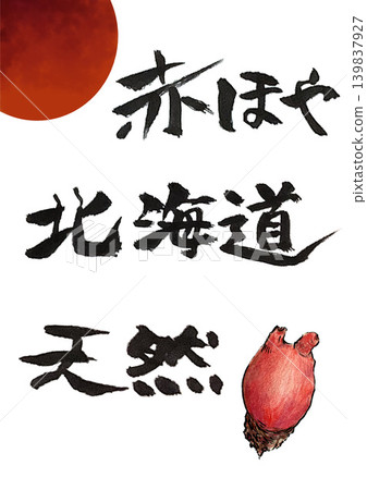 紅海鞘書法 紅海鞘書法 139837927