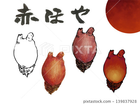 紅海鞘書法 139837928