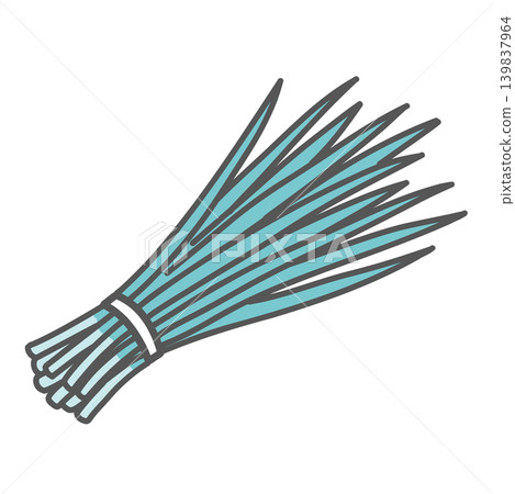 Illustration of chives (a stamina-boosting vegetable that helps prevent summer fatigue) Illustration of chives (a stamina-boosting vegetable that helps prevent summer fatigue) 139837964