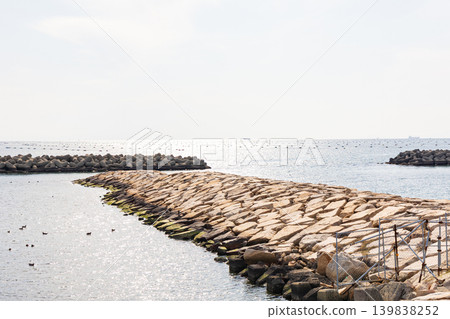 Fujie Port on a clear day, as seen from the pier (Akashi City, Hyogo Prefecture) 139838252
