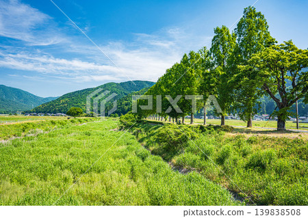 The clear waters of the Chinai River flowing through the rural area of Lake Biwa, Makino-cho, Takashima City, Shiga Prefecture The clear waters of the Chinai River flowing through the rural area of Lake Biwa, Makino-cho, Takashima City, Shiga Prefecture 139838508