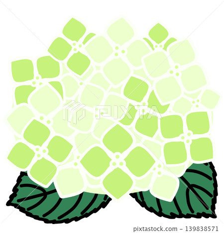 簡單的繡球花圖 簡單的繡球花圖 139838571
