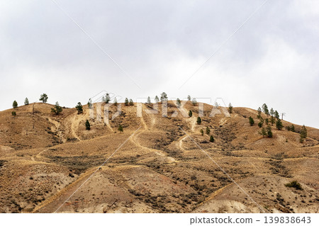 Semi-deserted grassland zone with brown grass and sparse bushes. Semi-deserted grassland zone with brown grass and sparse bushes. 139838643