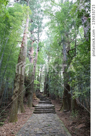 Scenery of Daimonzaka Slope on the Kumano Kodo World Heritage Site (7) Scenery of Daimonzaka Slope on the Kumano Kodo World Heritage Site (7) 139838715
