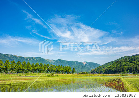 滋賀縣高島市牧野町奧琵琶湖的鄉村景觀 139838998