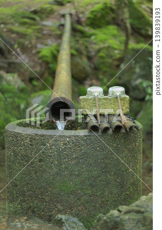 The tranquility of the moss-covered forest: traditional bamboo troughs and water basins The tranquility of the moss-covered forest: traditional bamboo troughs and water basins 139839193