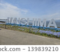 Osaka Maishima Seaside Park Nemophila Festival 139839210