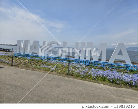 Osaka Maishima Seaside Park Nemophila Festival Osaka Maishima Seaside Park Nemophila Festival 139839210