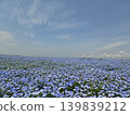 Osaka Maishima Seaside Park Nemophila Festival 139839212