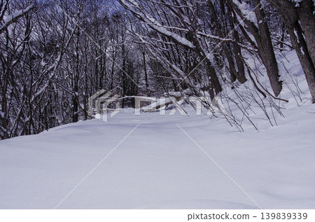 Snow-covered mountain path and winter groves Snow-covered mountain path and winter groves 139839339
