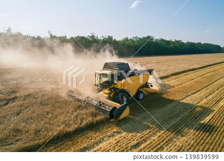 Aerial view captures a large yellow combine harvester actively cuts ripe golden grain in a vast agricultural field on a clear sunny summer day Aerial view captures a large yellow combine harvester actively cuts ripe golden grain in a vast agricultural field on a clear sunny summer day 139839599