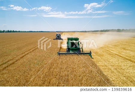 Two large combine harvesters diligently harvest golden wheat in a vast field Two large combine harvesters diligently harvest golden wheat in a vast field 139839616