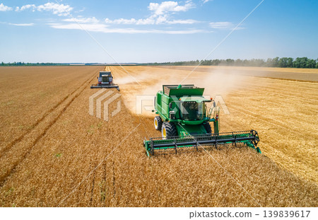 Two large combine harvesters diligently harvest golden wheat in a vast field Two large combine harvesters diligently harvest golden wheat in a vast field 139839617