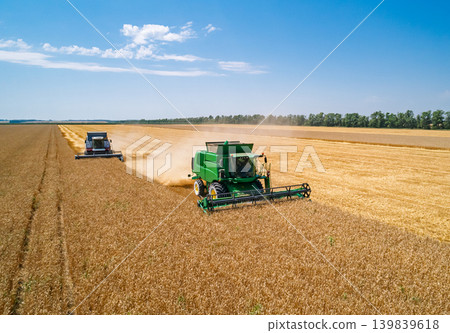 Two large combine harvesters diligently harvest golden wheat in a vast field Two large combine harvesters diligently harvest golden wheat in a vast field 139839618