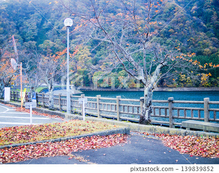 Lakeside parking lot adorned with autumn-colored fallen leaves 139839852