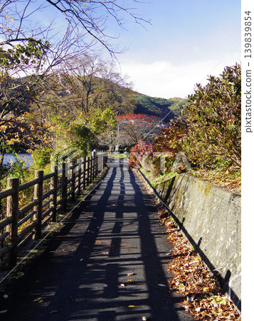 Autumn sunshine and shadows stretching across the walking path Autumn sunshine and shadows stretching across the walking path 139839854