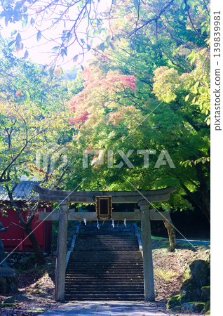 熊川塾,秋色中的神社和石鳥居。 熊川塾,秋色中的神社和石鳥居。 139839981