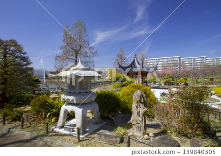 水月公園/早春梅林 水月公園/早春梅林 139840305