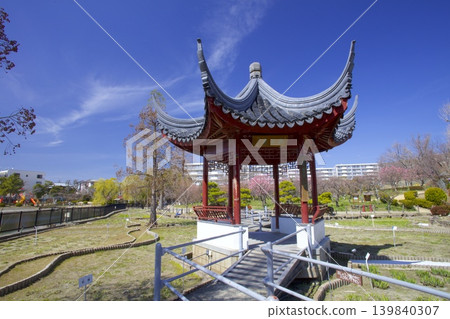 水月公園/早春梅林 水月公園/早春梅林 139840307