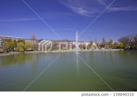 水月公園/早春梅林 水月公園/早春梅林 139840310
