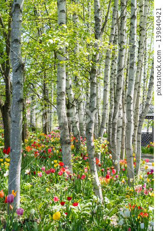 Hokkaido in May Hokkaido in May 139840421