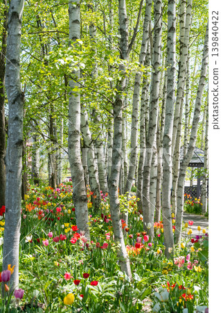Hokkaido in May Hokkaido in May 139840422