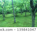 博物館森林步道 139841047