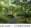 博物館森林步道 139841048