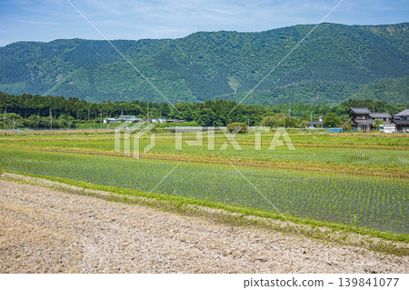 The tranquil rural landscape of Oku-Biwako, Makino-cho, Takashima City, Shiga Prefecture The tranquil rural landscape of Oku-Biwako, Makino-cho, Takashima City, Shiga Prefecture 139841077