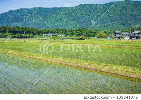 滋賀縣高島市牧野町奧琵琶湖寧靜的鄉村景色 139841079