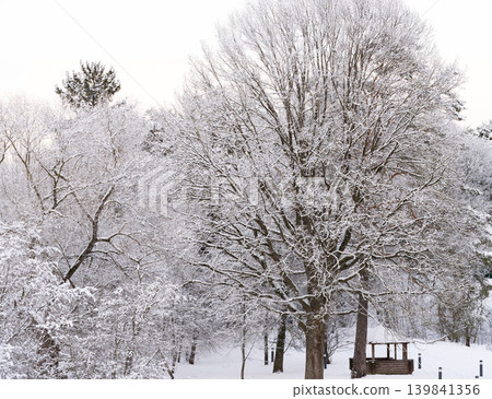 Winter landscape with snow-covered trees. Winter forest. 139841356
