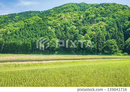 滋賀縣高島市牧野町奧琵琶湖寧靜的鄉村景色 滋賀縣高島市牧野町奧琵琶湖寧靜的鄉村景色 139841716