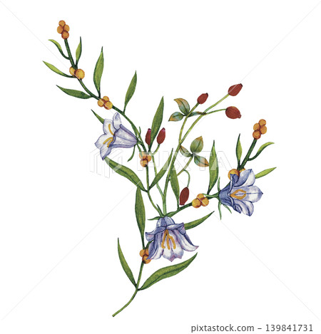 Wildflower Bouquet Botanical Illustration Wildflower Bouquet Botanical Illustration 139841731
