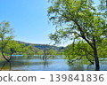 The submerged forest of Lake Shirakawa in Yamagata Prefecture appears only once a year. 139841836