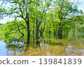 The submerged forest of Lake Shirakawa in Yamagata Prefecture appears only once a year. 139841839