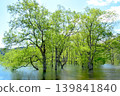 The submerged forest of Lake Shirakawa in Yamagata Prefecture appears only once a year. 139841840