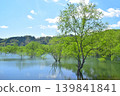 The submerged forest of Lake Shirakawa in Yamagata Prefecture appears only once a year. 139841841