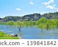 The submerged forest of Lake Shirakawa in Yamagata Prefecture appears only once a year. 139841842