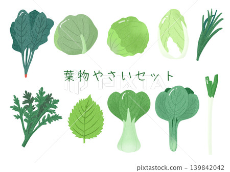 A set of various leafy vegetables A set of various leafy vegetables 139842042