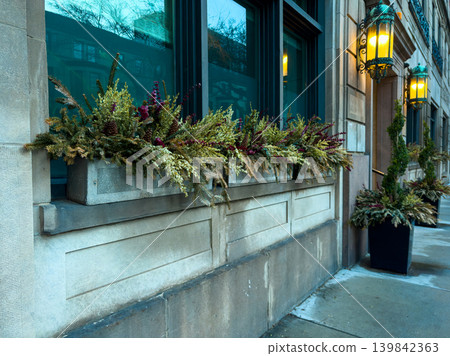Decorative plants and lights at a building window during evening hours in a city setting 139842363