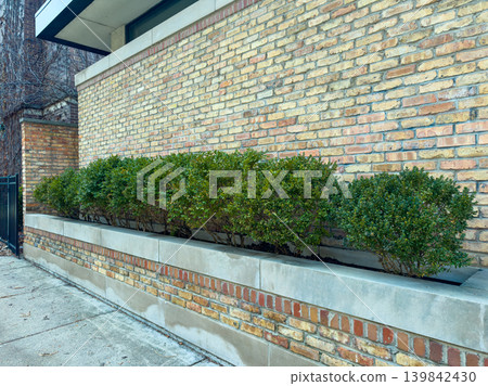 Green shrubs grow in a long planter beside a brick wall on a city street during the daytime in a residential area 139842430