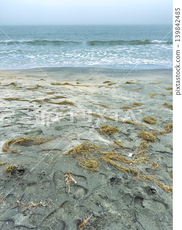 Waves crash gently on the shore while dried seaweed scatters over the sandy beach at a foggy coastal location on a calm day Waves crash gently on the shore while dried seaweed scatters over the sandy beach at a foggy coastal location on a calm day 139842485