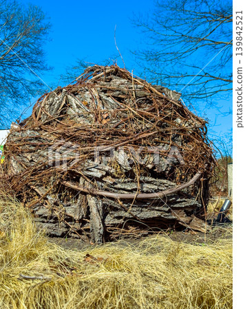 Wood pile covered in vines sits among dry grass on a sunny day in a rural area during early spring with clear blue sky Wood pile covered in vines sits among dry grass on a sunny day in a rural area during early spring with clear blue sky 139842521