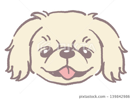 北京犬。狗臉插圖。向量圖。 139842986