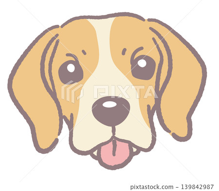 比格犬。狗臉插圖。向量圖。 139842987