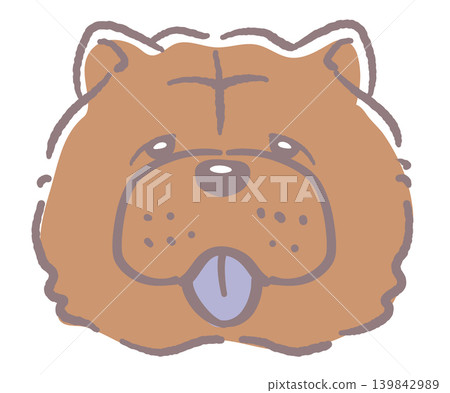 鬆獅犬。狗臉插圖。向量圖。 鬆獅犬。狗臉插圖。向量圖。 139842989