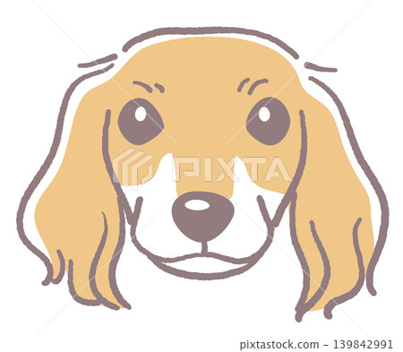 臘腸犬。狗臉插圖。向量圖。 139842991