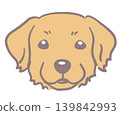 金毛尋回犬。狗臉插圖。向量圖。 金毛尋回犬。狗臉插圖。向量圖。 139842993