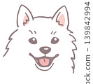 尖嘴犬。狗臉插圖。向量圖。 尖嘴犬。狗臉插圖。向量圖。 139842994